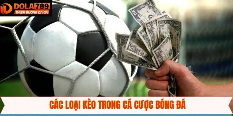 Các kèo cược Bóng đá được yêu thích nhất ở Dola789