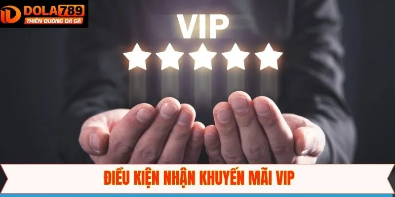 Điều kiện áp dụng cho ưu đãi VIP tại Dola789