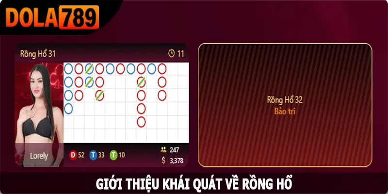 Giới thiệu khái quát về rồng hổ siêu cuốn hút