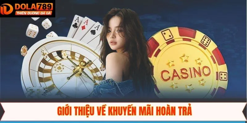 Đôi nét khái quát chung về ưu đãi hot tại nhà cái