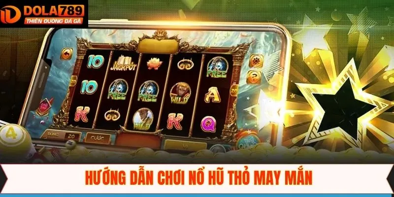 Quy trình đặt cược thỏ may mắn tại Dola789