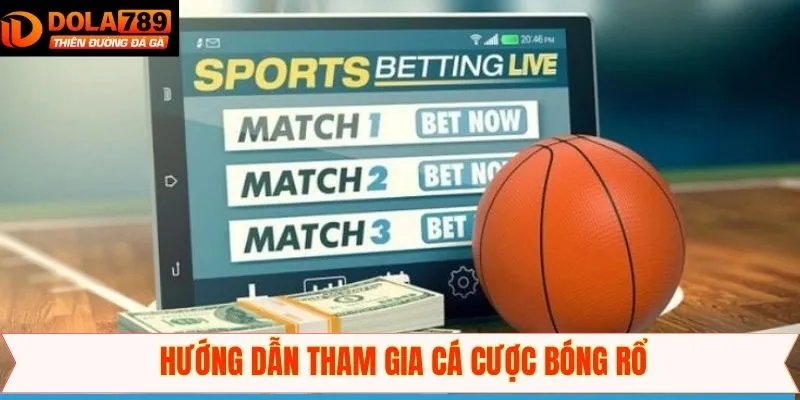 Thao tác chi tiết khi cá cược tại Dola789