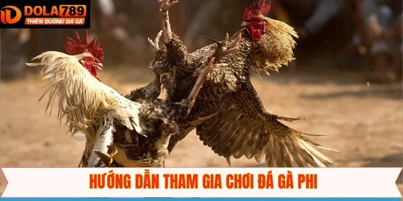 Hướng dẫn các bước tham gia đá gà Philippines