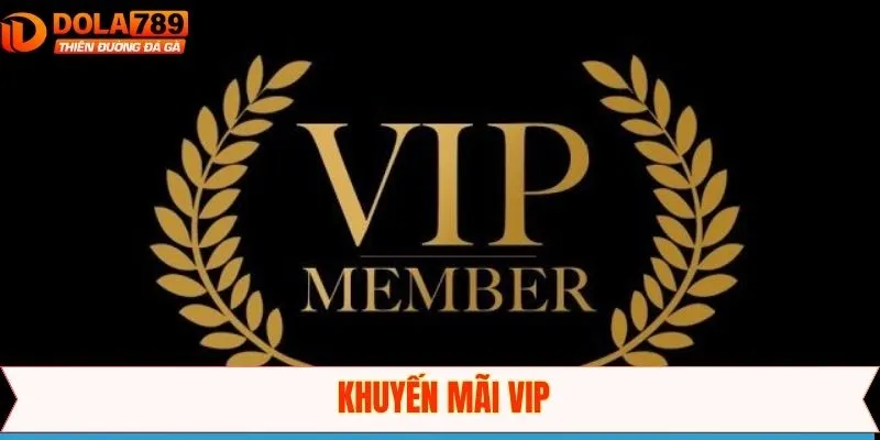 Khuyến Mãi VIP - Săn Quà Cực Chất Khi Tham Gia Dola789