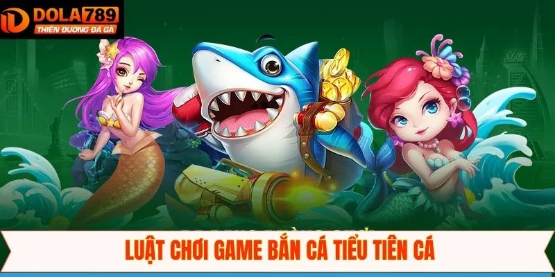 Tổng hợp đầy đủ các quy định cơ bản có trong game