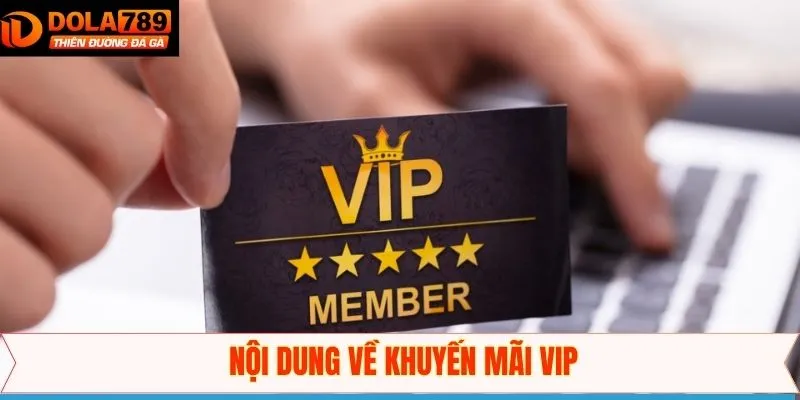 Thể lệ ưu đãi dành cho VIP tại Dola789