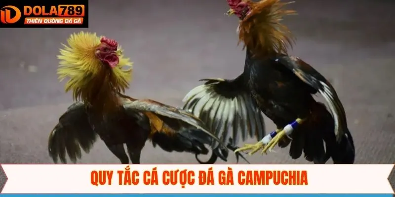 Nắm rõ quy luật trải nghiệm đá gà Campuchia