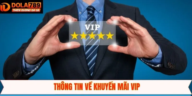 Giới thiệu tổng quan về sự kiện khuyến mãi VIP