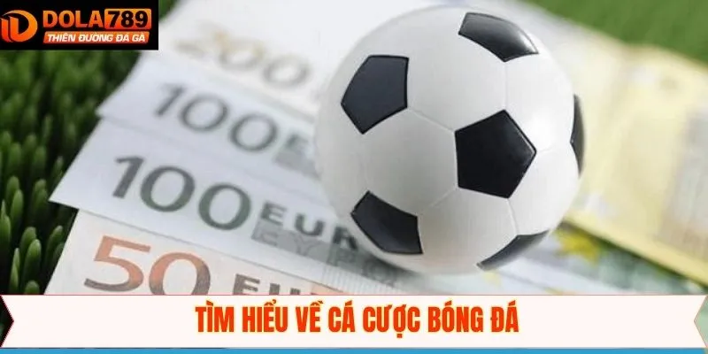 Tổng quát thông tin giới thiệu bóng đá Dola789
