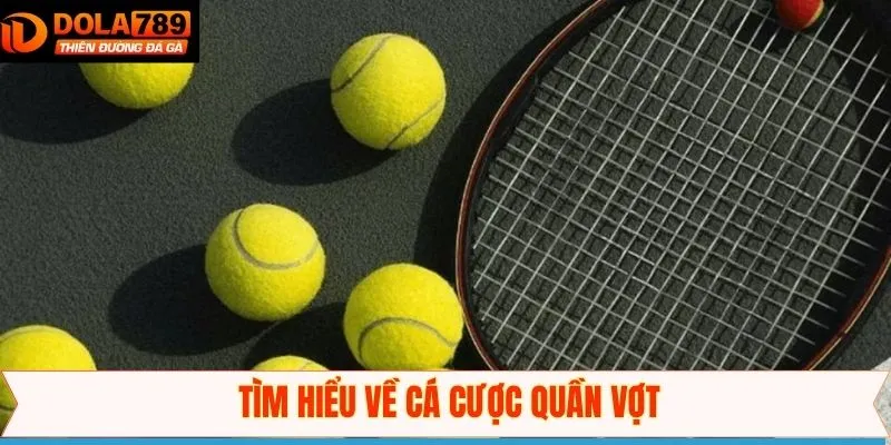 Khái quát về bộ môn quần vợt tại Dola789