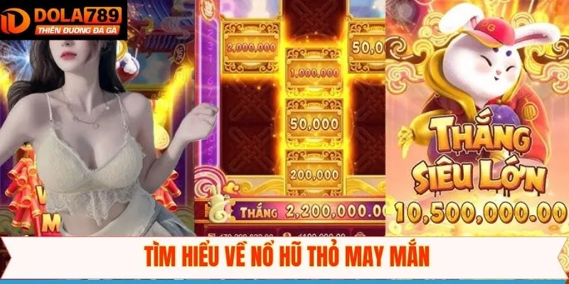 Khái quát đôi nét về thỏ may mắn
