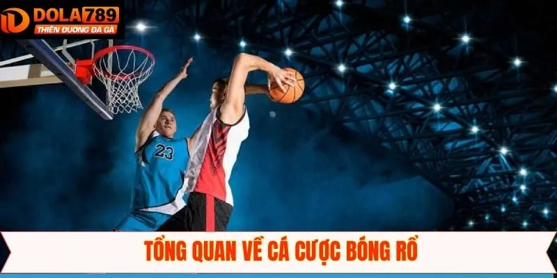 Tổng quan về sự hấp dẫn của bóng rổ kịch tính