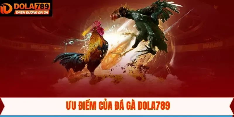 Lý do vì sao người tham gia nên lựa chọn cá cược đá gà Dola789
